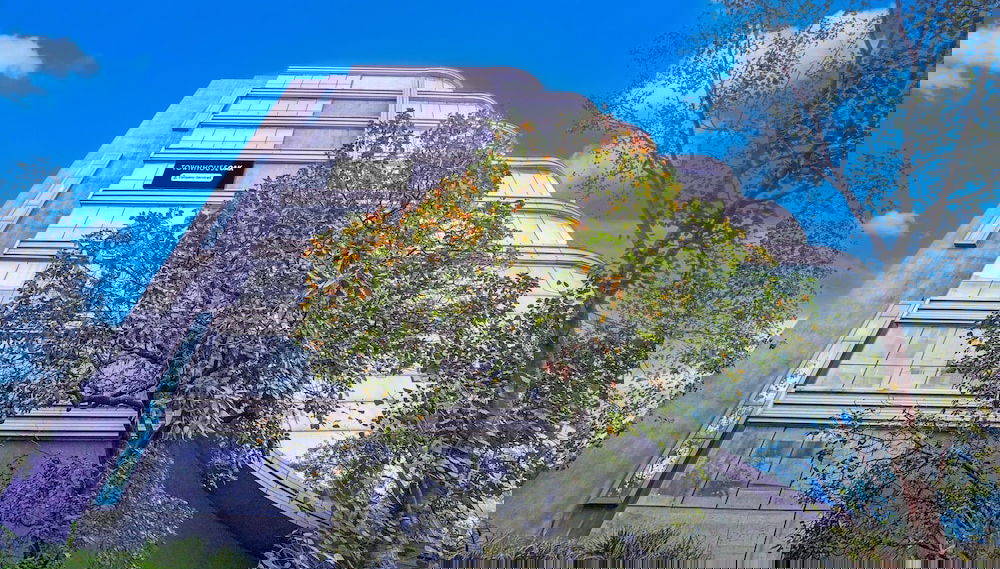Image principale