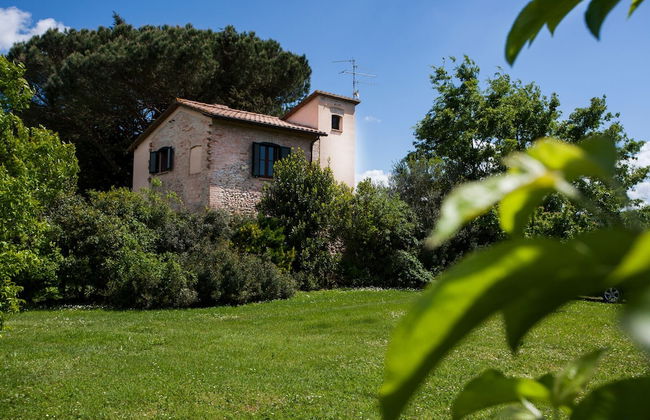 Bio Tenuta di Paganico - I Roggeti - Photo 18