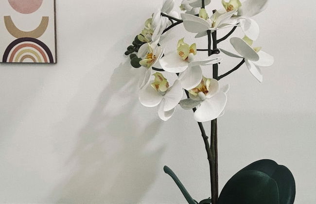 Bright & Airy Urban Escape - Foto 32