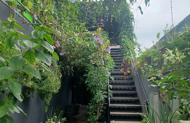 Charly's Place - Photo 1