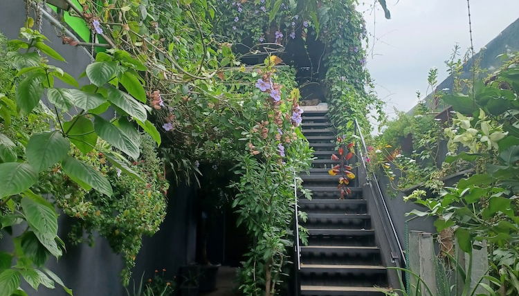 Foto 1 - Charly's Place