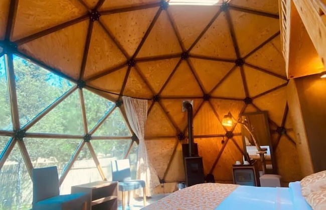 Lepista Garden - Foto 3