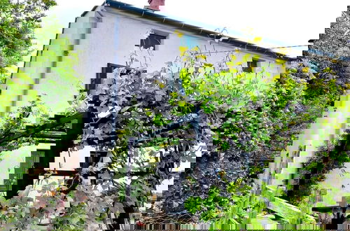 Foto 5 - House Viskic