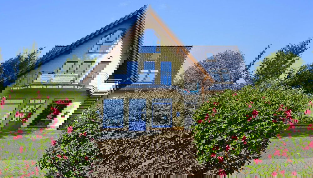 Imagem principal