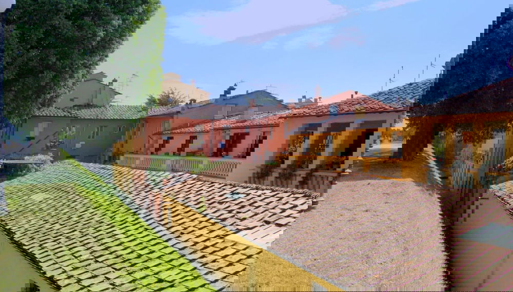 Imagem principal