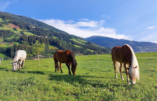 Beautiful Holiday Home in Mayrhofen - Foto 39