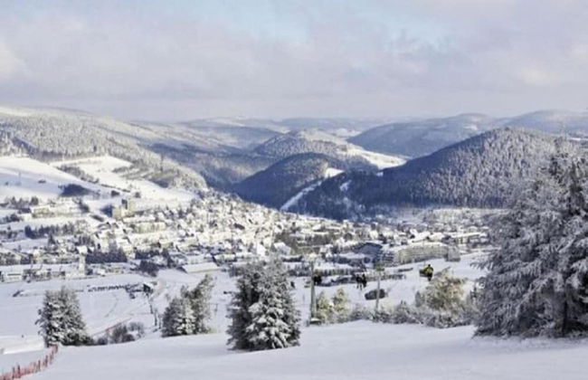 Apartment in Olsberg Near the ski Area - Foto 34