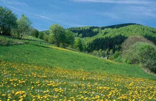 Geraumige Ferienwohnung im Sauerland - Foto 40