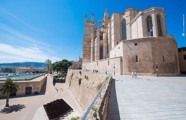 Centric in Palma With 3 Bedrooms and 1 Bathrooms - Photo 33