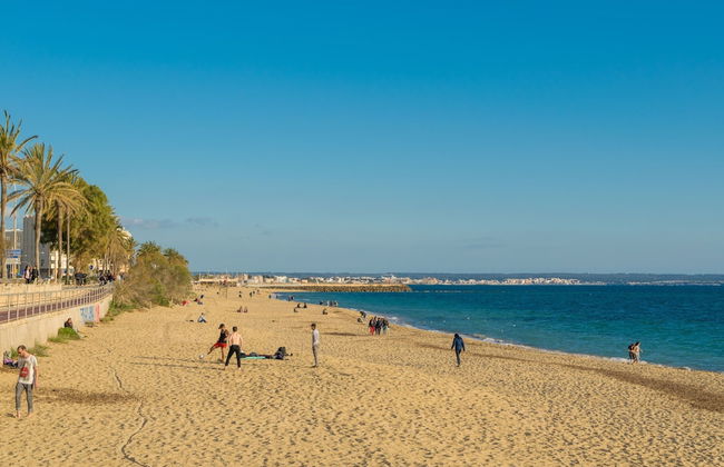 Centric in Palma With 3 Bedrooms and 1 Bathrooms - Photo 32