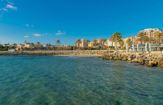 Centric in Palma With 3 Bedrooms and 1 Bathrooms - Photo 31