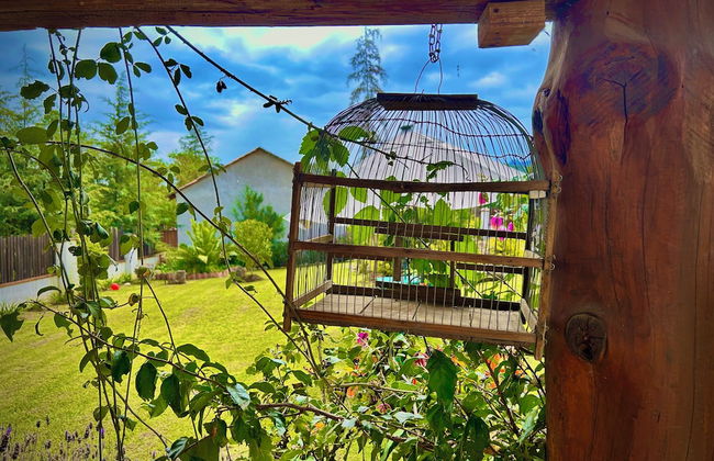 Cabañas San Lazaro By GEstores - Foto 42