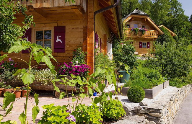 Chalet in Wildkogel Near Ski Slopes - Foto 16