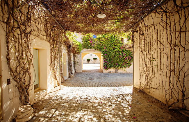 CV P- Convento das Bernardas - Foto 17