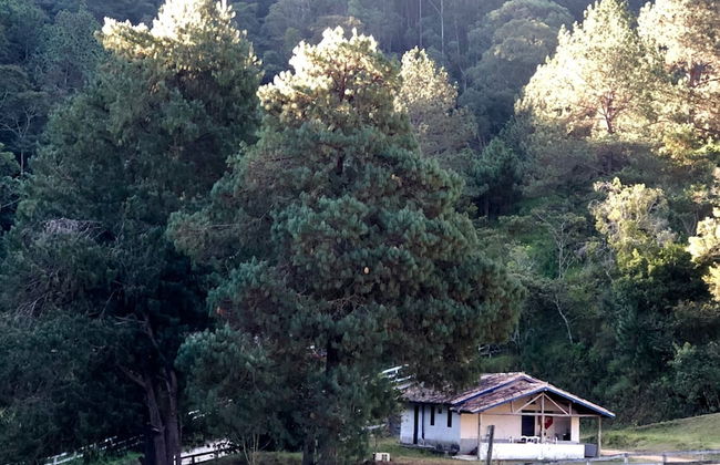 FAZENDA CATUÇABA - Foto 38