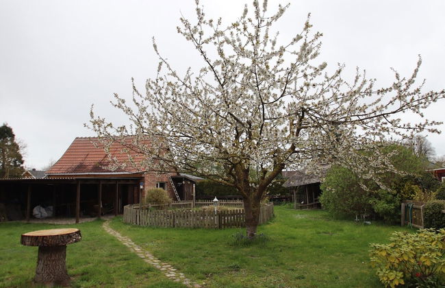Ferienhaus in Wittendtsrp OT Pogress - Foto 16