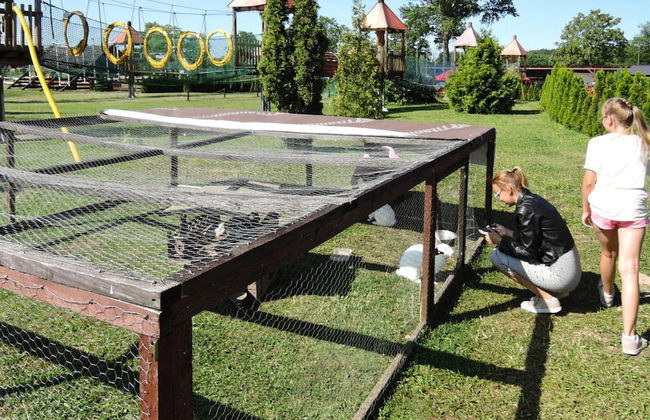 Bungalows in Wrzosowo - The Bird's Cage for 4 Persons - Foto 14