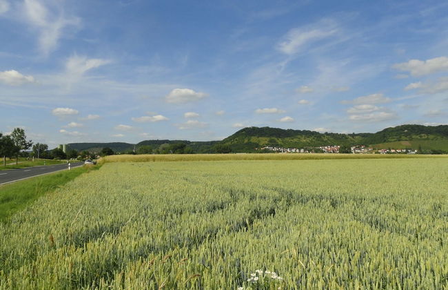 Comfort in Franconian Hills - Foto 15