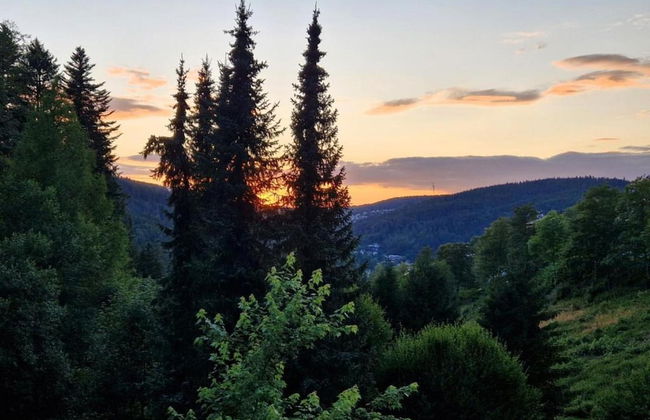 Lush Apartment in Furtwangen near Black Forest with Balcony - Foto 30