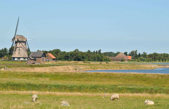 Lovely Holiday Home in Texel Near Sea - Foto 63