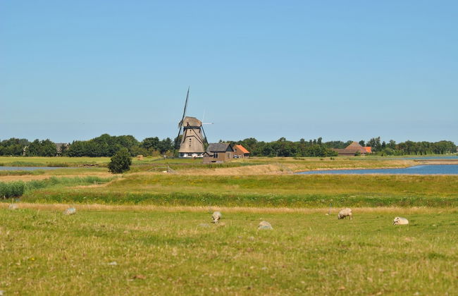 Lovely Holiday Home in Texel Near Sea - Foto 70