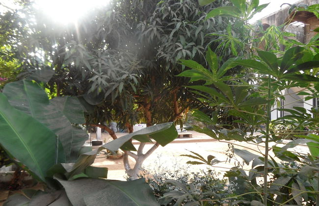 Camara Gardens Apartments with Pool - Foto 20