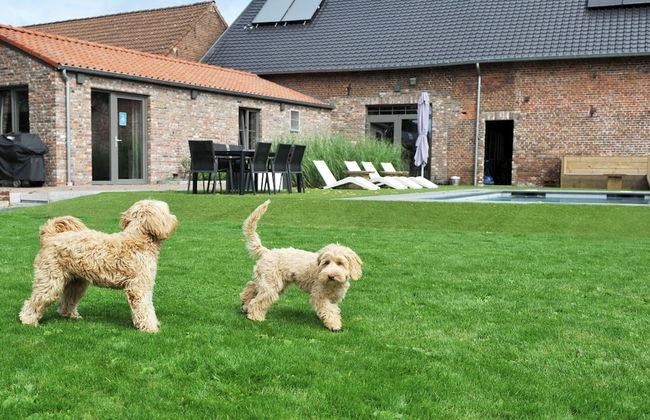Vlaanderen Cozy Cottage - Foto 28