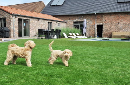 Photo 28 - Countryside Cottage With Shared Pool