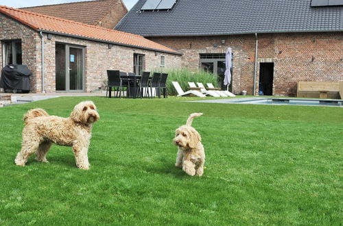 Photo 25 - Countryside Cottage With Shared Pool