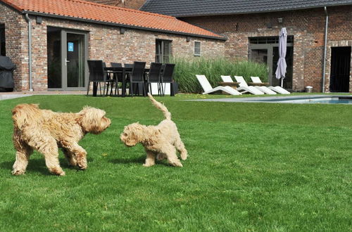 Photo 16 - Countryside Cottage in Vlaanderen With Shared Pool