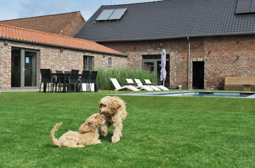 Photo 29 - Countryside Cottage in Vlaanderen With Shared Pool