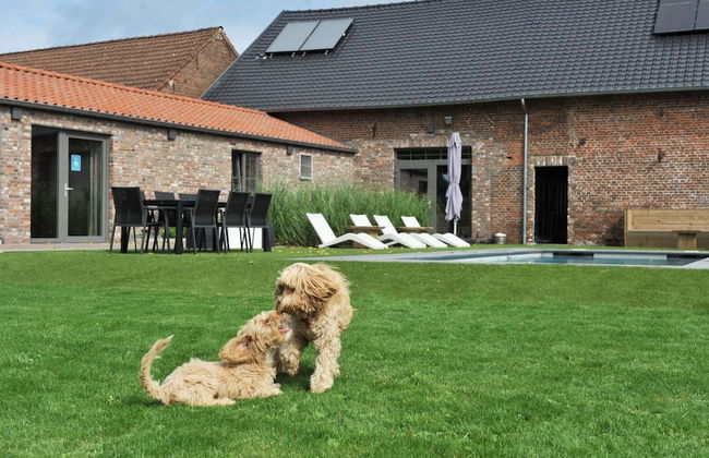 Vlaanderen Cozy Cottage - Foto 32