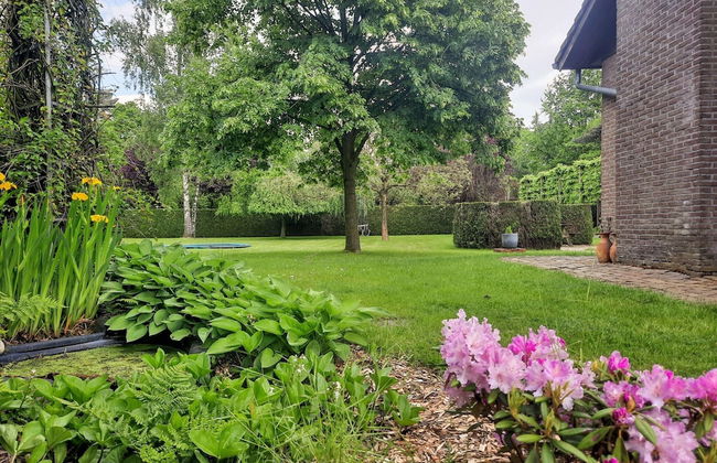 Merksplas Villa With Terrace - Photo 36