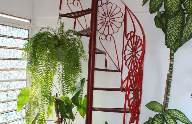 Hostal Casa Blanca Cienfuegos Cuba - Foto 39