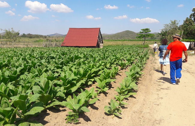 Hostal Casa Blanca Cienfuegos Cuba - Foto 26