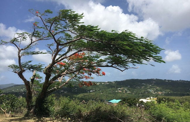 Windchime Estates - Photo 57