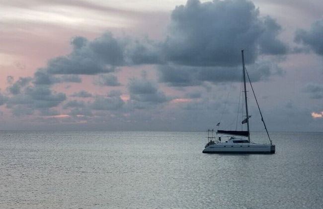 Windchime Estates - Photo 40