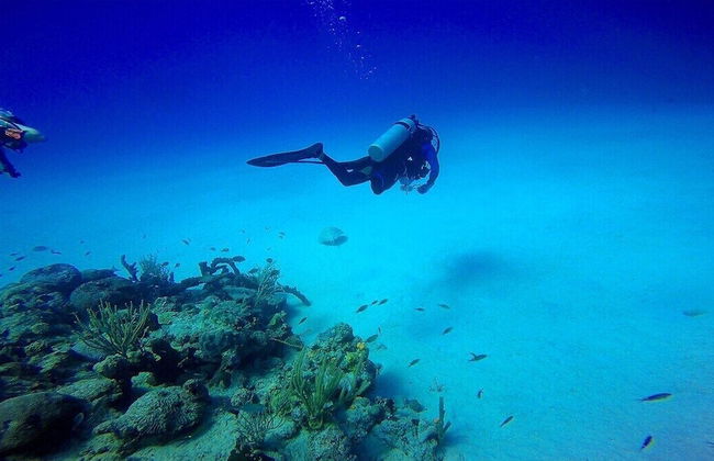 Windchime Estates - Photo 50