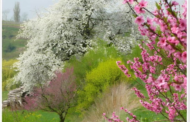 Ferienwohnung in Herbolzheim - Foto 34
