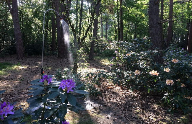 Gierle Garden Bungalow Escape - Foto 41