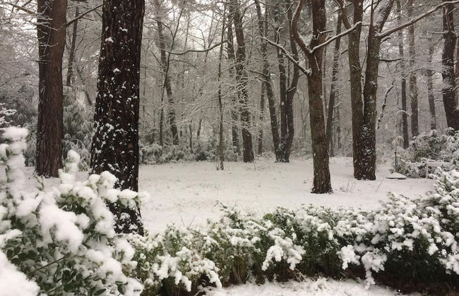 Gierle Garden Bungalow Escape - Foto 40