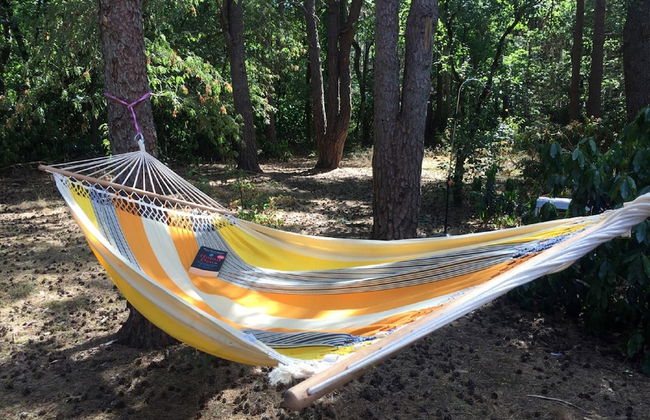 Gierle Garden Bungalow Escape - Foto 42