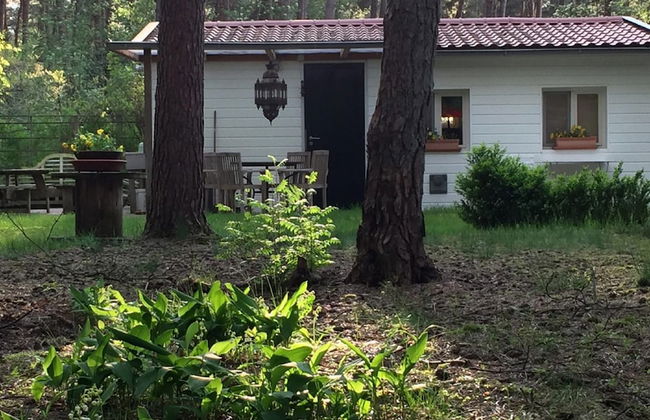 Gierle Garden Bungalow Escape - Foto 61