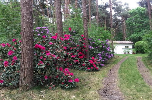 Photo 33 - Tranquil Bungalow in Lille With Garden