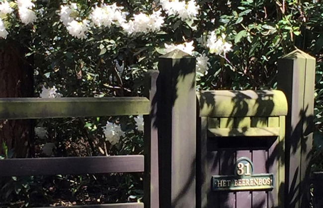 Gierle Garden Bungalow Escape - Foto 5