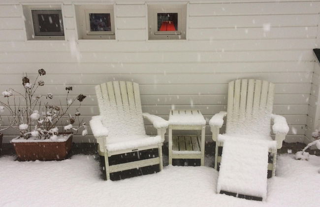 Gierle Garden Bungalow Escape - Foto 39