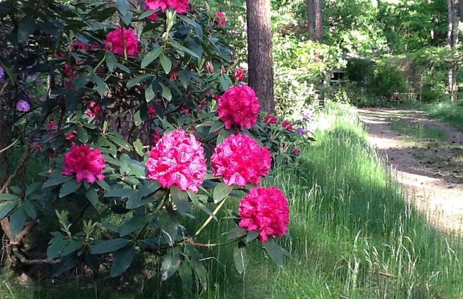 Gierle Garden Bungalow Escape - Foto 27