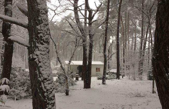 Gierle Garden Bungalow Escape - Foto 58