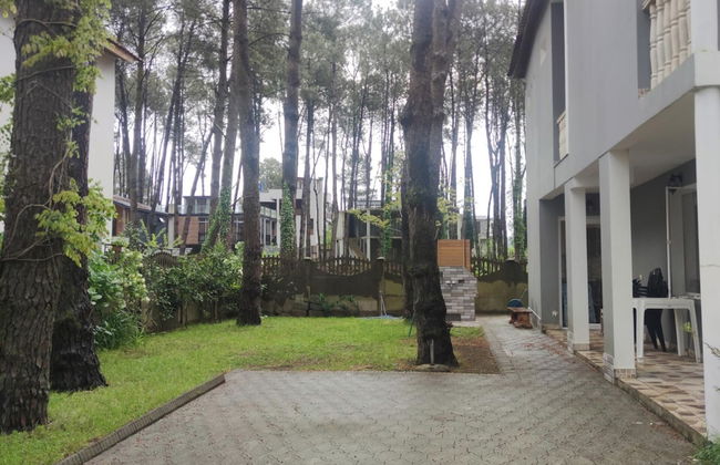 House by the sea Kaprovani Shekvetili Batumi - Foto 26