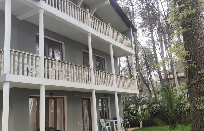 House by the sea Kaprovani Shekvetili Batumi - Foto 32